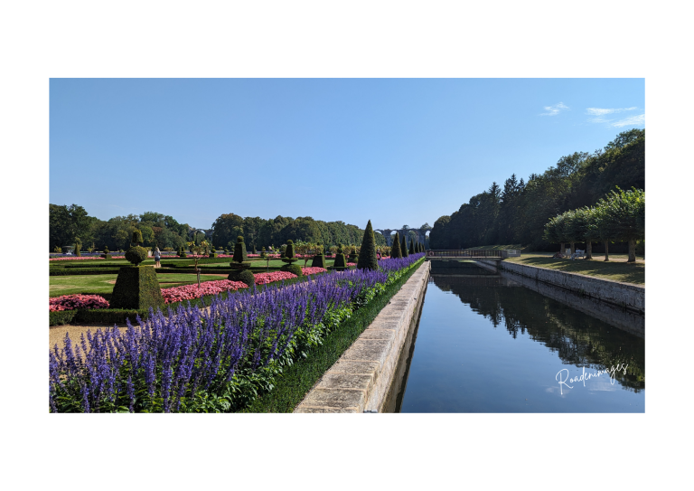 Jardin de fleurs avec des rangées de lavande et un miroir d'eau au soleil.
