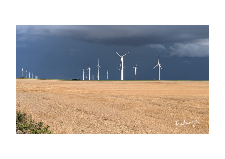 Parc éolien sur fond orageux Parc éolien sur un champ doré sous un ciel orageux.