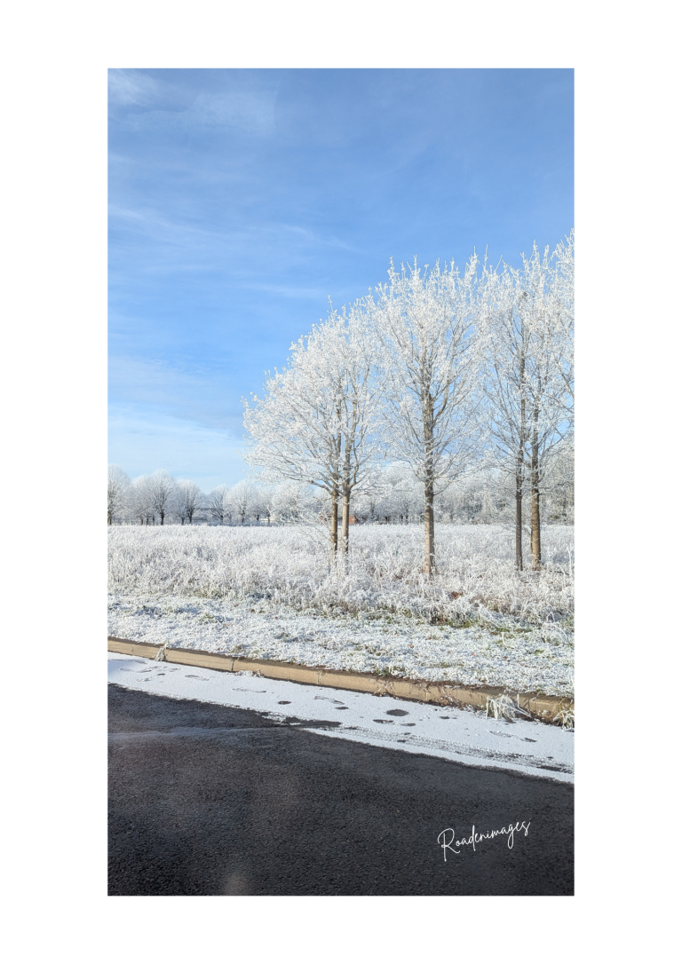 Paysage hivernal avec des arbres enneigés et un ciel bleu.