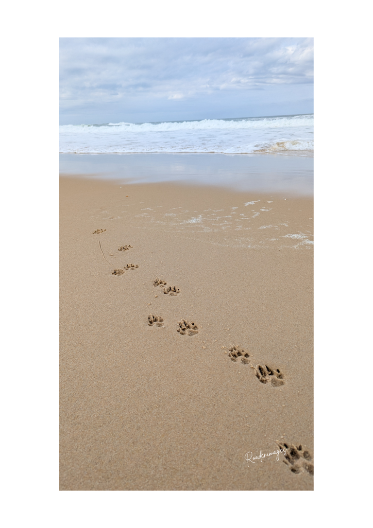 Des traces de pas sur une plage de sable, avec des vagues au loin.